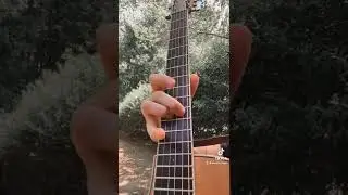fearless - pink floyd