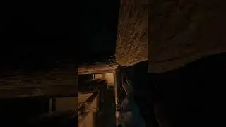 Day 58 - Building a Base Using 1 Log For Every 10 Followers!🚀 #shorts