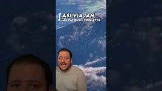 las PALOMAS TORCACES ¿Por qué viajas así? | Noticias con club de caza