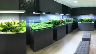 AMAZING AQUASCAPE TOUR at Green Aqua, Budapest