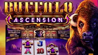 BUFFALO ASCENSION 💥💥RARE DOUBLE ARROWS LANDED!!💥💥 3x 5x Big Win Free Games!