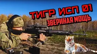 ТИГР ИП 01 САМАЯ МОЩНАЯ ГРАЖДАНСКАЯ ВИНТОВКА