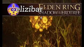 Abyssal Woods - Shadow of the Erdtree (Elden Ring) Part 69