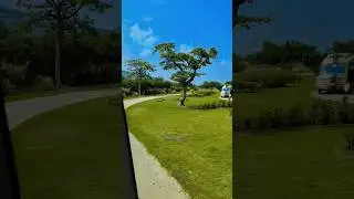 Nature status for whatsapp, song relax, natural status, natural song
