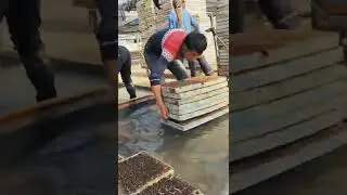 Теплица на воде, выращивание без почвы. #Shorts