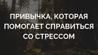 Робин Шарма - Как преодолеть стресс