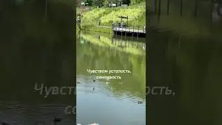 Где теряем, где находим и как сохраняем свою энергию