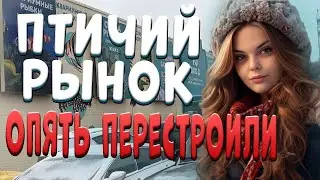 Moscow Gardener Bird Market. Product and price overview. Today's news. Full overview!