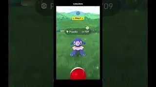 ✨ Shiny POKEMON Alert! ✨like the video for extra shiny luck :] #shinypokemon #pokemongo