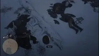 Red Dead Redemption 2 Never had the looting animation on a dead body (first person I loot)