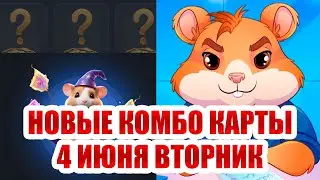 4 июня НОВЫЕ КОМБО КАРТЫ В ХАМСТЕР КОМБАТ | 3 КОМБО КАРТЫ Hamster Kombat | 