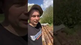 Ошкуривание бревен в ручном режиме очень быстро и легко и поможет в этом нам только лопата!