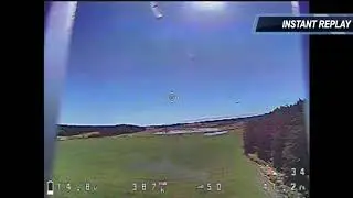Quadcopter Close Encounter with Bird of Prey
