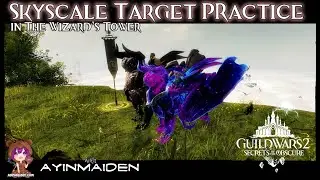 GW2 - Wizard's Tower: Skyscale Target Practice