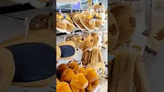 kapibara в кари