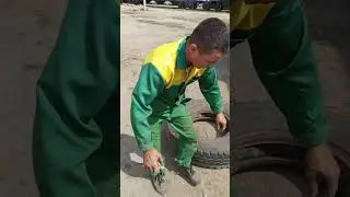 и так каждый день