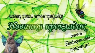 Новинки прокладок и ежедневок / бюджетные покупки / первые впечатления