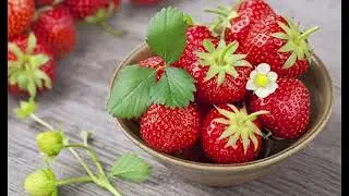 Тушдаги мевалар ва ўсимликлар нимани англатади?