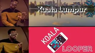 Koala Looper FTW!