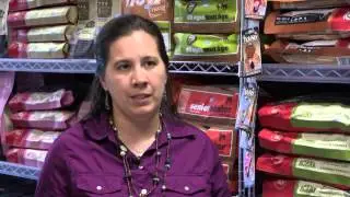 Organic and Natural Pet Toys