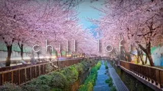 spring fades away - a calming Asian lofi hiphop track