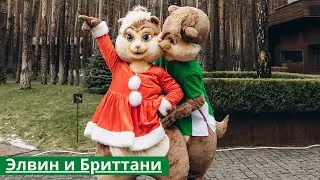 Бурундук