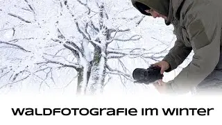 Waldfotografie im Winter - Naturfotografie Tutorial