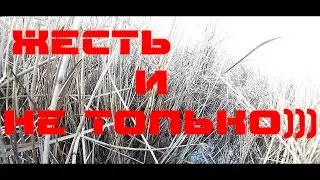 Ужассссс!!!СМОТРЕТЬ ВСЕМ!!