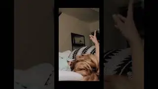¿ERES DE LOS QUE DEJAN LAS COSAS PARA LUEGO?😒😒
