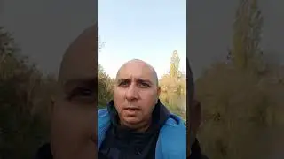 4 ноября 2023 г.