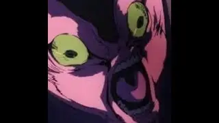 What Doppio Really Saw