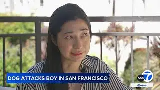 Family furious after dog attacks 4-year-old, owners walk away