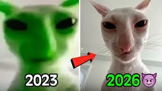 Top 10 Legendary Cat Memes (Then Vs Now)🥰❤️‍🩹Part-2