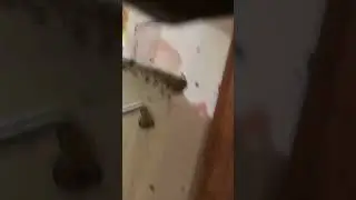 The BEST Treatment
