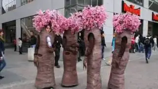 Good, beautiful electronic music.  良い音楽  好音乐