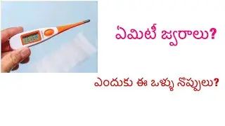 Viral fever / Dengue fever/Body pains / Weakness
