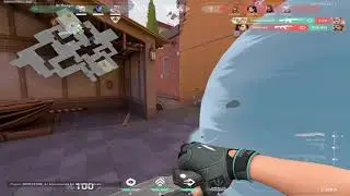 Camel 2.mp4
