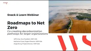Roadmaps to Net Zero - Co-creating decarbonization pathways for large organizations