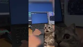 Why Ctrl-C terminate programs?