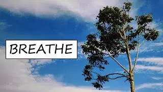 Sonia D - Breathe (Lyrics)