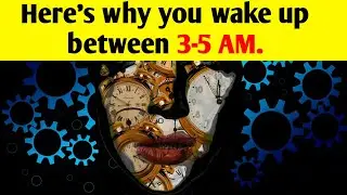 If you always wake up between 3-5 AM, Here's why!