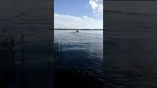 Катамаран Мастеркат с палаткой на борту.(2)