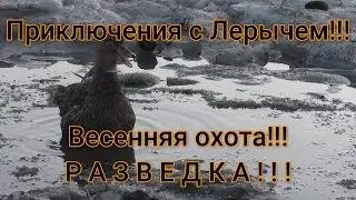 Весенняя охота на гуся 2021!!! Разведка!!!
