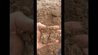 Честный коп, какой он есть!) Большая редкость!