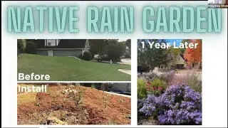 Trees Atlanta Ask the Expert Landscaping with Native Plants