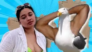 SEAGULLS ON ZAZA (Greatest Summer Ever Ep. 5) [reupload]