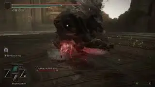 Elden Ring - Maliketh No Hit NG+7