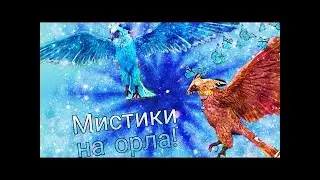 Новое обновление на день Святого Валентина|| WildCraft