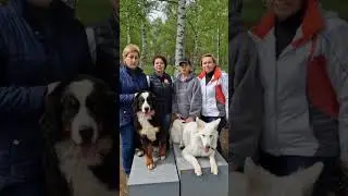 Поздравление с Днем Победы от курсантов Юный Кинолог ТКСС