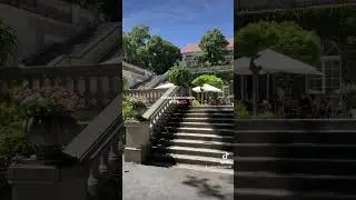 Tauba Tauba